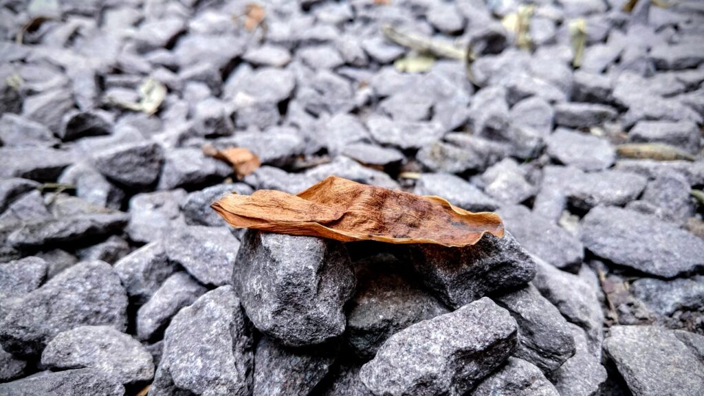 ダイナースプレミアムの特典で得られる魅力的なサービスは？