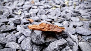 ダイナースプレミアムの特典で得られる魅力的なサービスは？