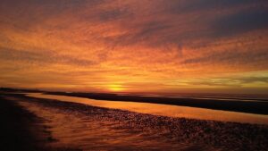 ダイナースプレミアムの特典を最大限に活用する方法は？