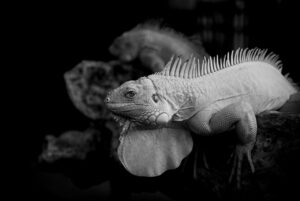 レストランコンシェルジュが選ぶおすすめのダイニング体験は？