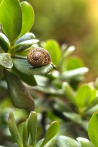 プラチナコンシェルジュを利用するアメックス会員の特典とは？