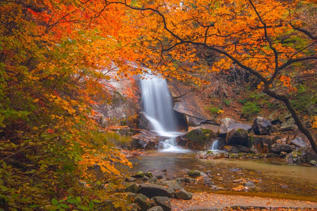 ブラックカードの審査に落ちる理由とは？