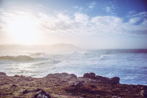 ポイントが多いキャンペーンカードの選び方は？