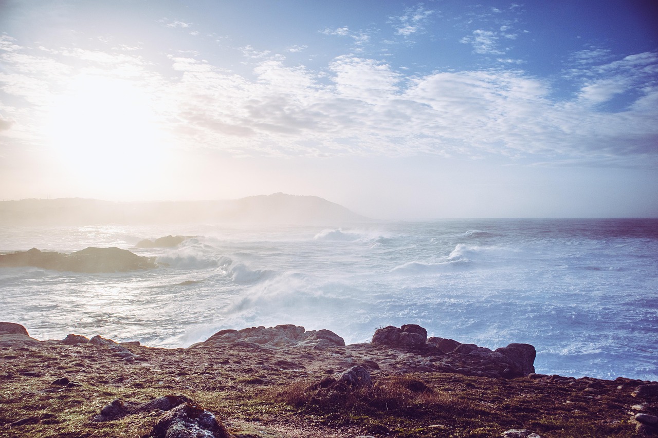 ポイントが多いキャンペーンカードの選び方は？