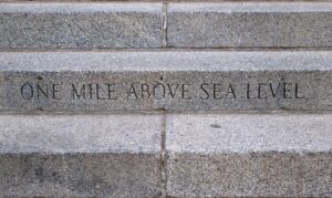 マイルが貯まる年会費無料カードの選び方は？