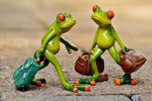 クレジットカードの旅行保険付帯は本当に必要？そのメリットと注意点を解説！