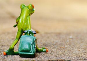 クレジットカードの旅行特典はどう使えばお得になる？